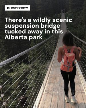Image post by @curiocitycalgary on Instagram