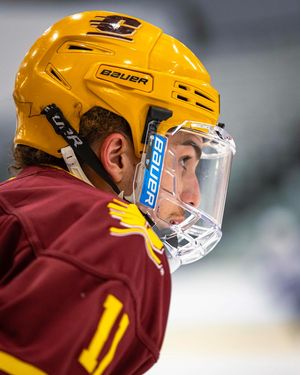 Image post by @cmuhockeyd3 on Instagram