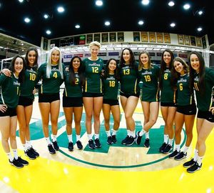 Image post by @usfdonsvb on Instagram