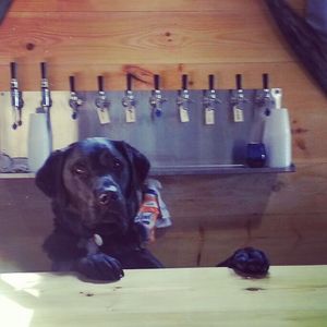 Image post by @navigationbrewingco on Instagram
