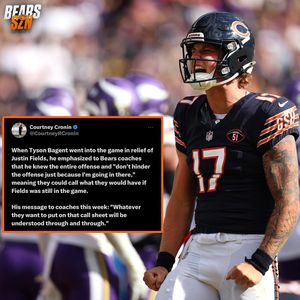 Image post by @bearsszn on Instagram