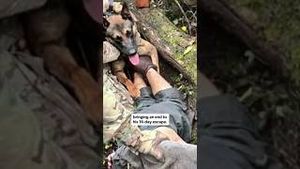 Video post by @cbsmornings on YouTube