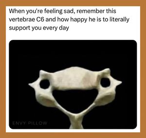 Image post by @envypillow on Instagram