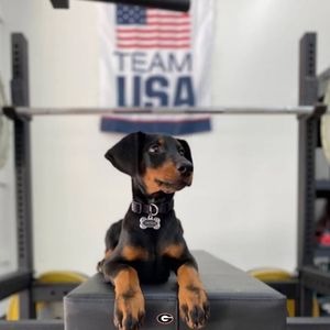 Image post by @ugatrack on Instagram