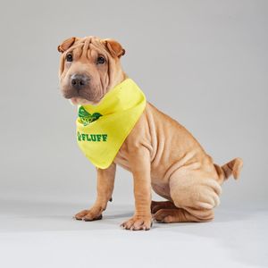Image post by @animalplanet on Instagram
