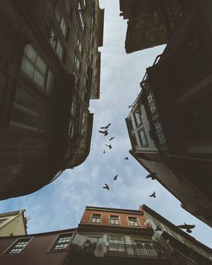 Image post by @vsco on Instagram