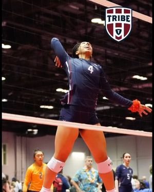 Image post by @mytribevolleyball on Instagram