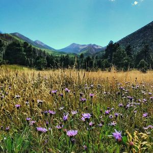 Image post by @nauflagstaff on Instagram