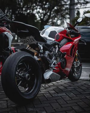 Image post by @panigalers on Instagram