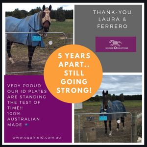Image post by @equineidsolutions on Instagram