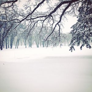 Image post by @fargoparks on Instagram