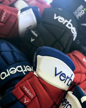 Image post by @verberohockey on Instagram