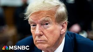 Video post by @msnbc on YouTube