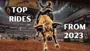 Video post by @pbr on YouTube
