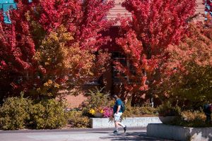 Image post by @nauflagstaff on Instagram