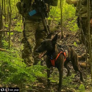 Image post by @airforcespecialtactics on Instagram