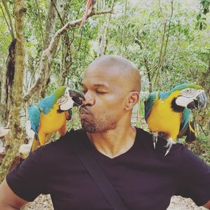 Image post by @iamjamiefoxx on Instagram