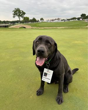 Image post by @pgatour on Instagram