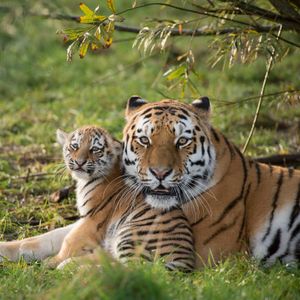 Image post by @discovery on Instagram