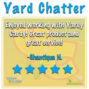 Image post by @yardycardy on Instagram