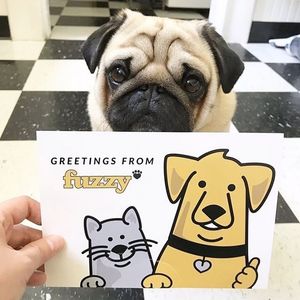 Image post by @yourfuzzy on Instagram
