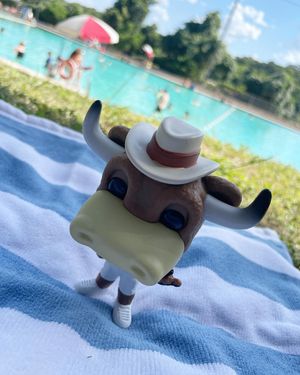 Image post by @utaustintx on Instagram