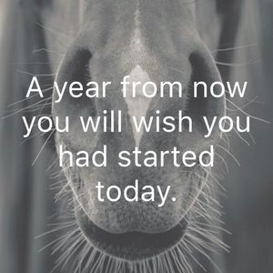 Image post by @snaffle_it on Instagram