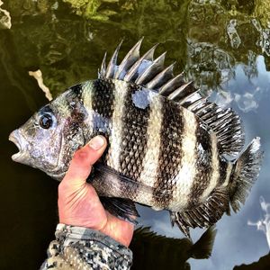 Image post by @toadfishoutfitters on Instagram