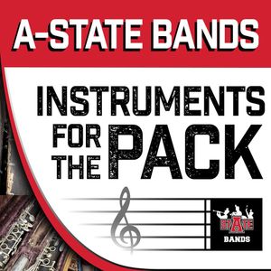 Image post by @astatebands on Instagram
