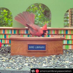 Image post by @stjohnscountylibrary on Instagram