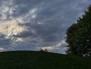 Image post by @mtl_unscripted on Instagram
