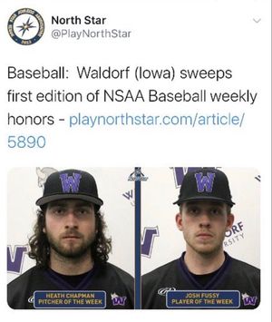 Image post by @waldorfbaseball on Instagram