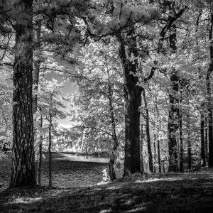 Image post by @fotodioxpro on Instagram