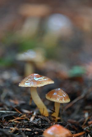 Image post by @ScienceChannel on Twitter/X