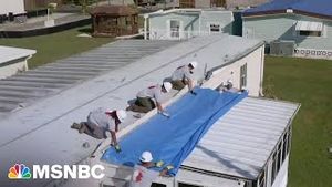 Video post by @msnbc on YouTube