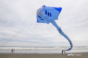 Image post by @gettyimages on Instagram