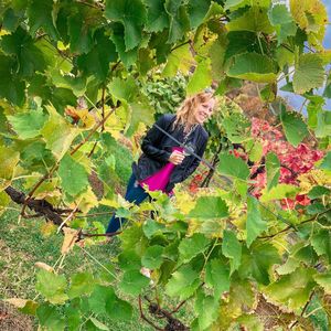 Image post by @heather_klatt on Instagram