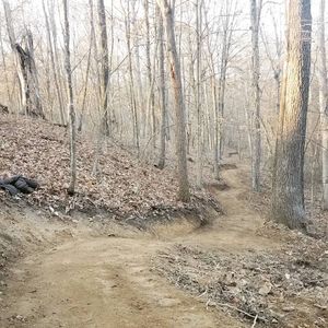 Image post by @blackdiamond_traildesigns on Instagram
