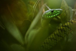 Image post by @natgeo on Instagram