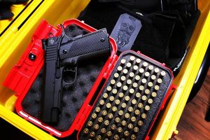 Image post by @seahorsecases on Instagram