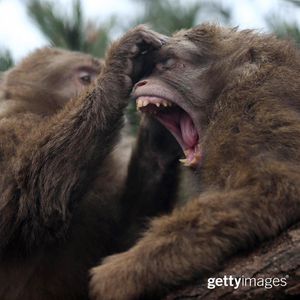 Image post by @gettyimages on Instagram