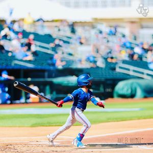 Image post by @mlb.mini on Instagram