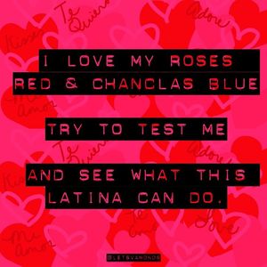 Image post by @letsvamonosnetwork on Facebook