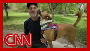 Video post by @cnn on YouTube