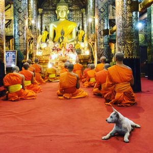 Image post by @natgeo on Instagram