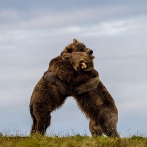 Image post by @nationalparkservice on Instagram