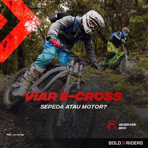 Image post by @boldriders on Instagram