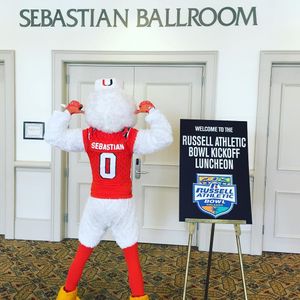 Image post by @um_sebastian on Instagram