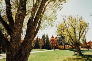 Image post by @nauflagstaff on Instagram