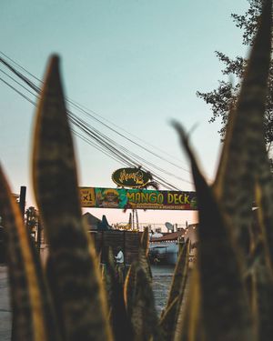 Image post by @visualsbydream on Instagram